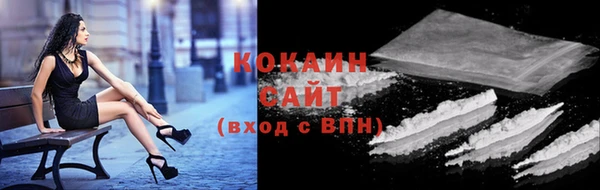 прущие грибы Нягань