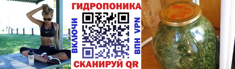 как найти закладки  Шенкурск  Бошки марихуана Amnesia 